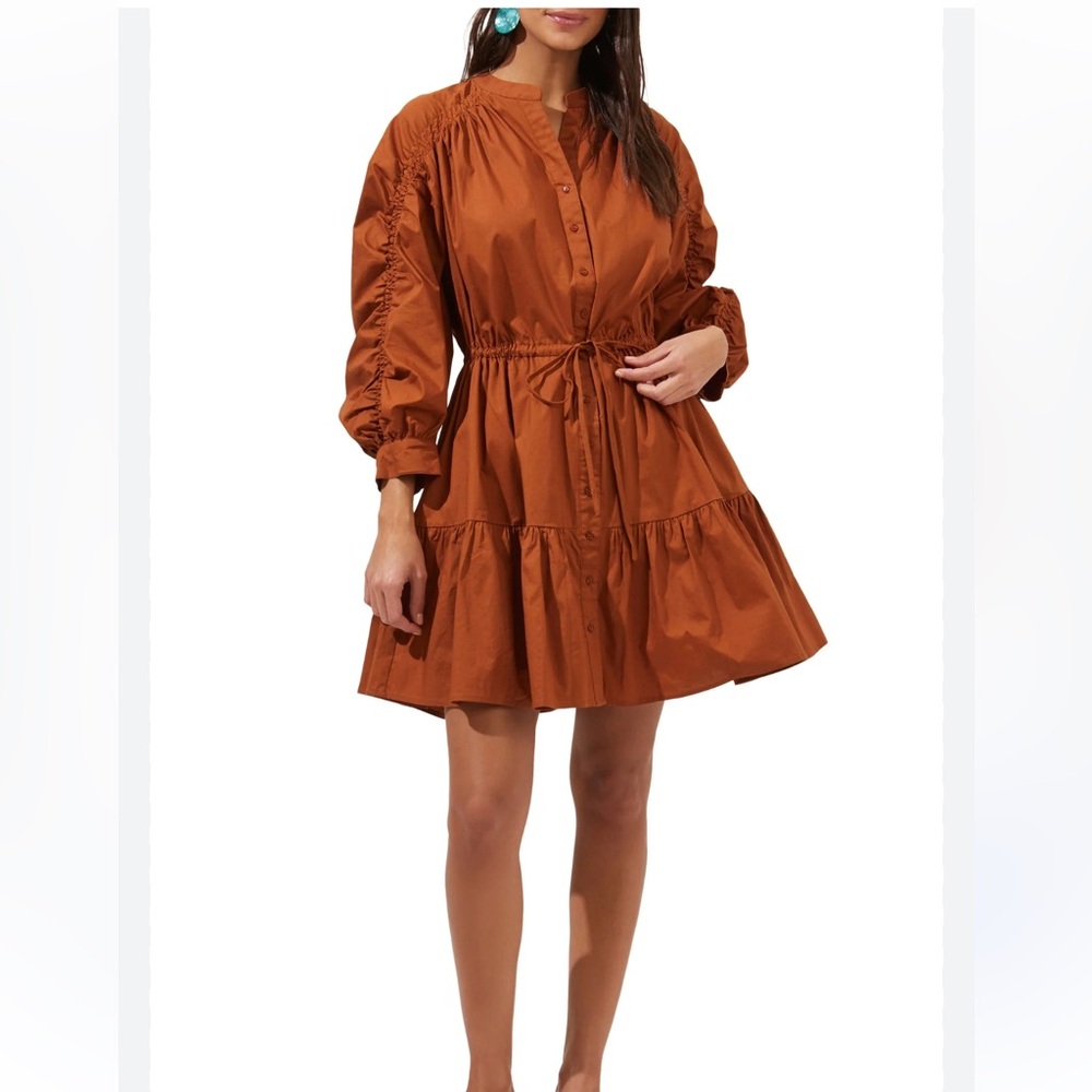 ASTR the Lsbel ruffle hem drawstring waist long sleeve dress